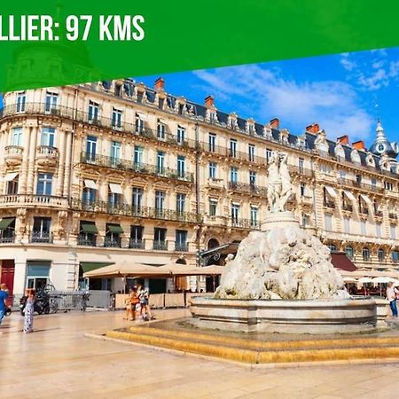 L'Olivier - 2 Terrasses - Clim Ac - Wifi - Proche Theatres Apartment Avignon Bagian luar foto